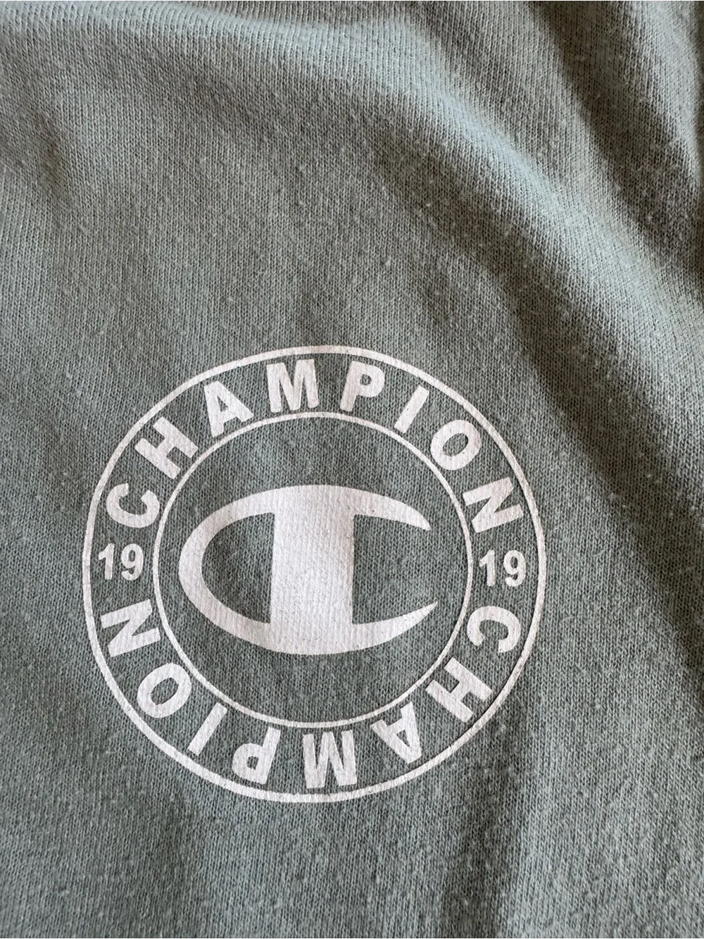 Champion Men's Sage Green Short Sleeve Tee with White Logo